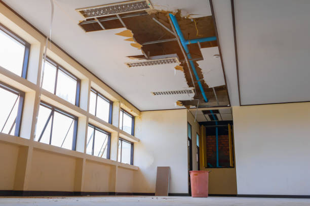 Best Water damage contractors near me  in Winter Springs, FL