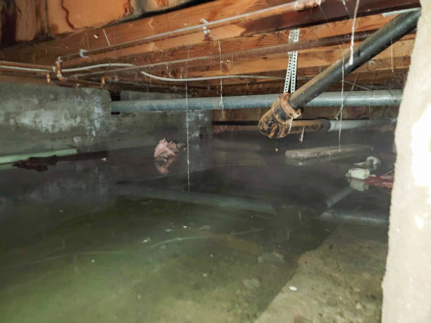Best Water damage cleanup near me  in Winter Springs, FL