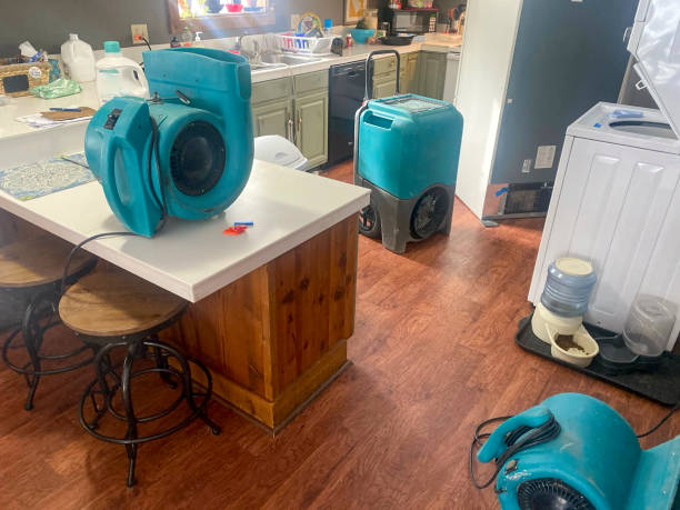Best Flooded house restoration  in Winter Springs, FL