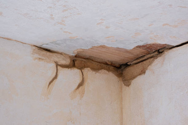 Best Sewage cleanup and water damage restoration  in Winter Springs, FL