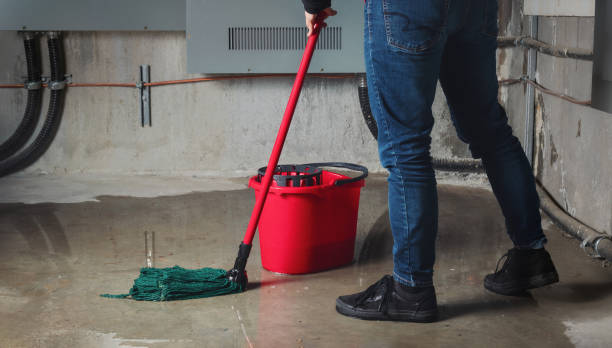 Best 24-hour water damage restoration  in Winter Springs, FL