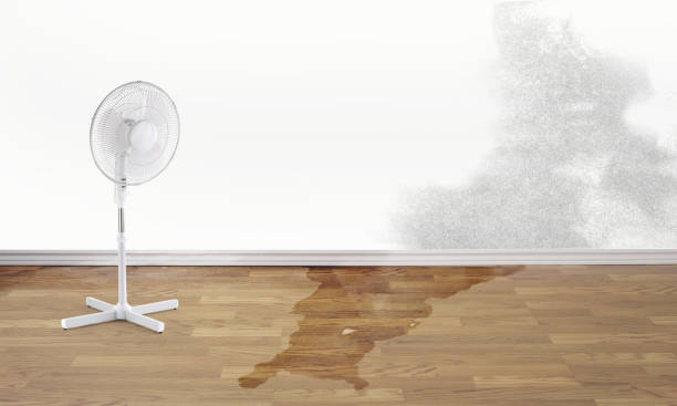 Best Emergency water damage restoration  in Winter Springs, FL
