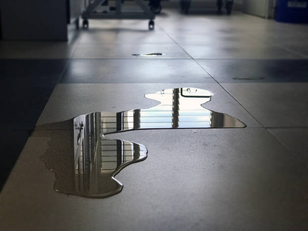 Best Water damage restoration near me  in Winter Springs, FL