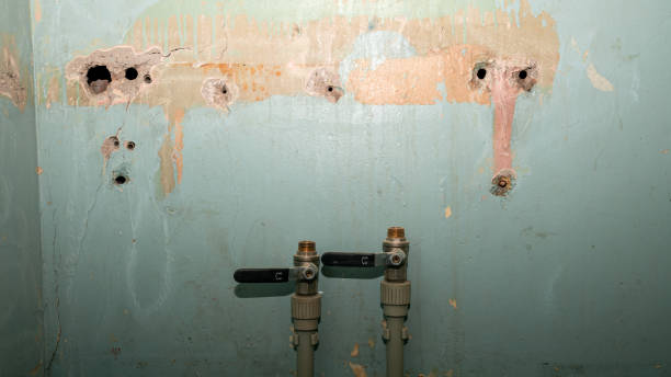 Best Water damage restoration cost  in Winter Springs, FL