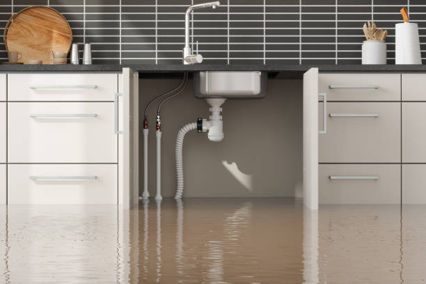 Best Water damage restoration near me  in Winter Springs, FL