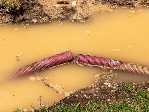 Best Water damage cleanup near me  in Winter Springs, FL